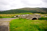 Sheep and Stone Bridge