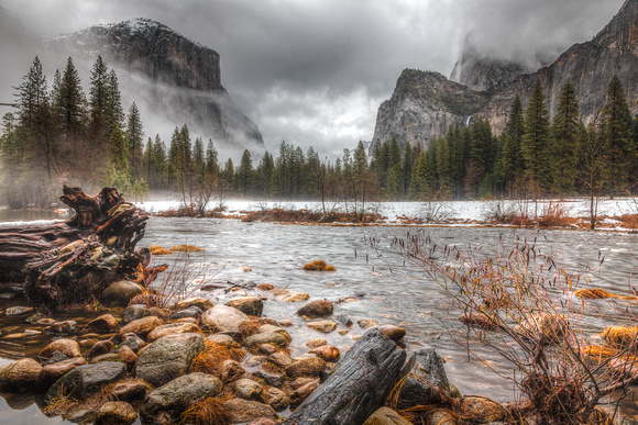 Cold and Foggy Yosemite